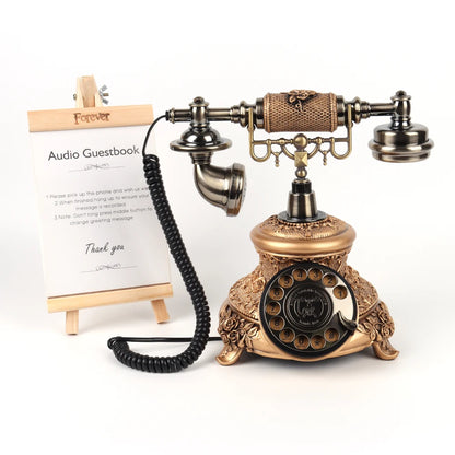The Zora Vintage Audio Guestbook