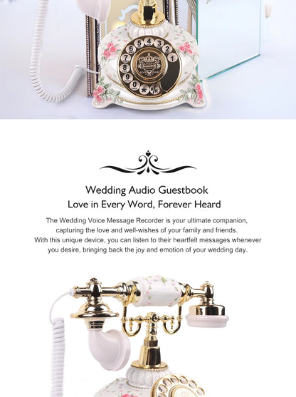 The Lena Audio Guestbook